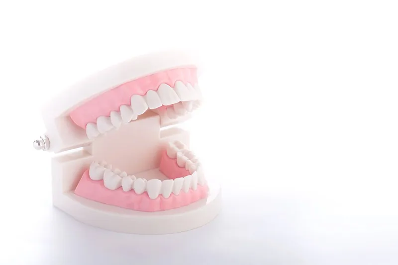 専門医が対応する高精度の入れ歯治療